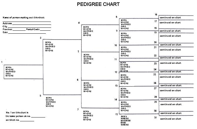 Pedigree Chart